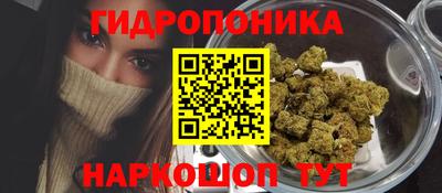 винт Гусь-Хрустальный