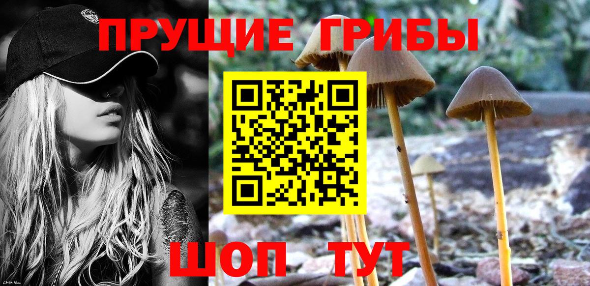 Минусинск  Псилоцибиновые грибы мухоморы  Вход с VPN  Галлюциногенные грибы мицелий 