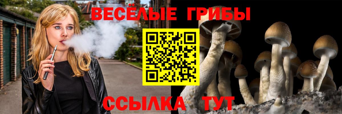 Галлюциногенные грибы ЛСД Минусинск